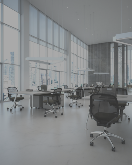 professional office